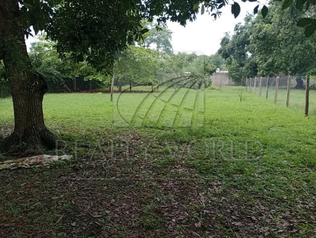 Terrenos en Venta en Jolochero 2da. Sección