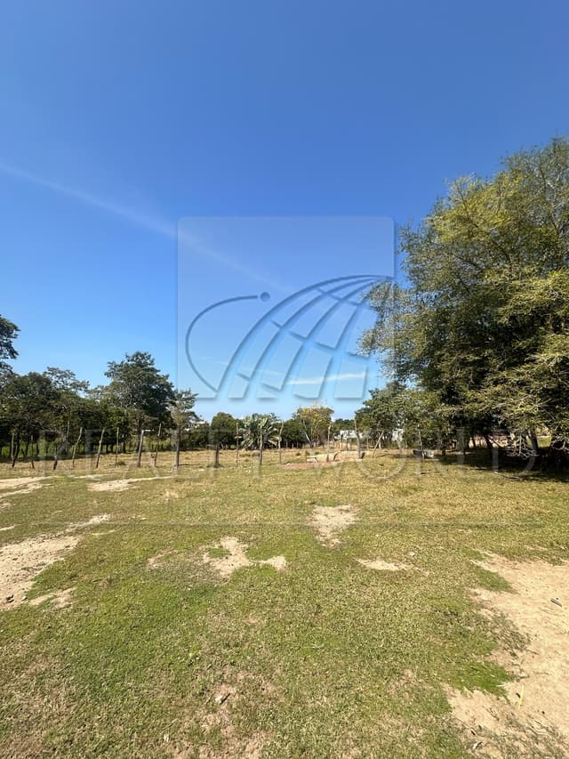 Terrenos en Venta en Sabina