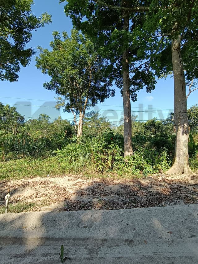 Terrenos en Venta en Buena Vista Río Nuevo 4a Sección