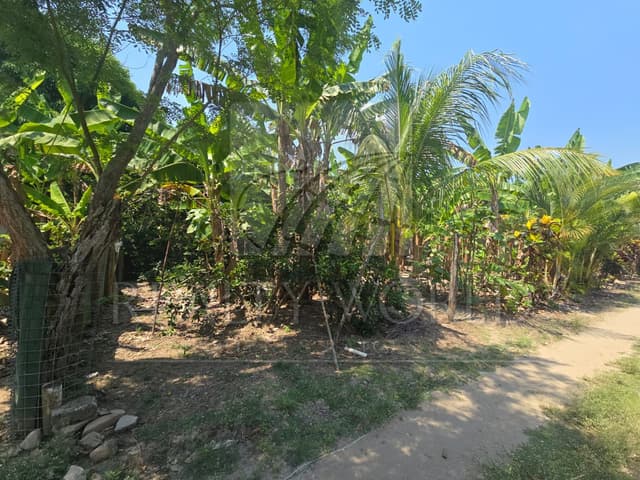 Terrenos en Venta en Luis Gil Pérez