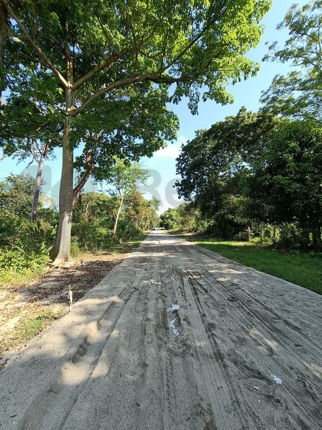 Terrenos en Venta en Buena Vista Río Nuevo 4a Sección