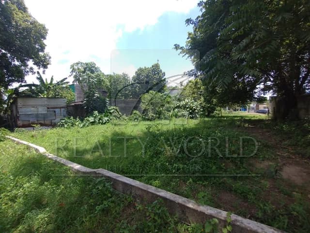 Terrenos en Venta en El Cedro