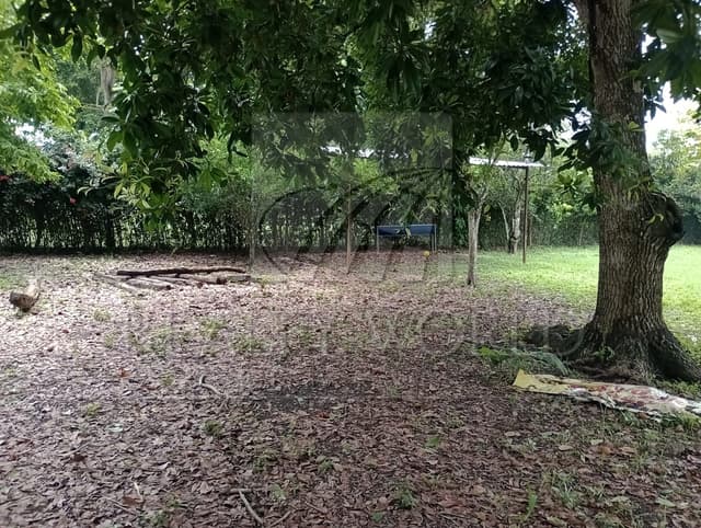 Terrenos en Venta en Jolochero 2da. Sección