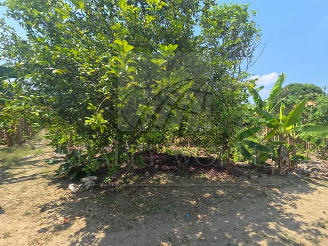 Terrenos en Venta en Boquerón 2a Sección (El Barquillo)