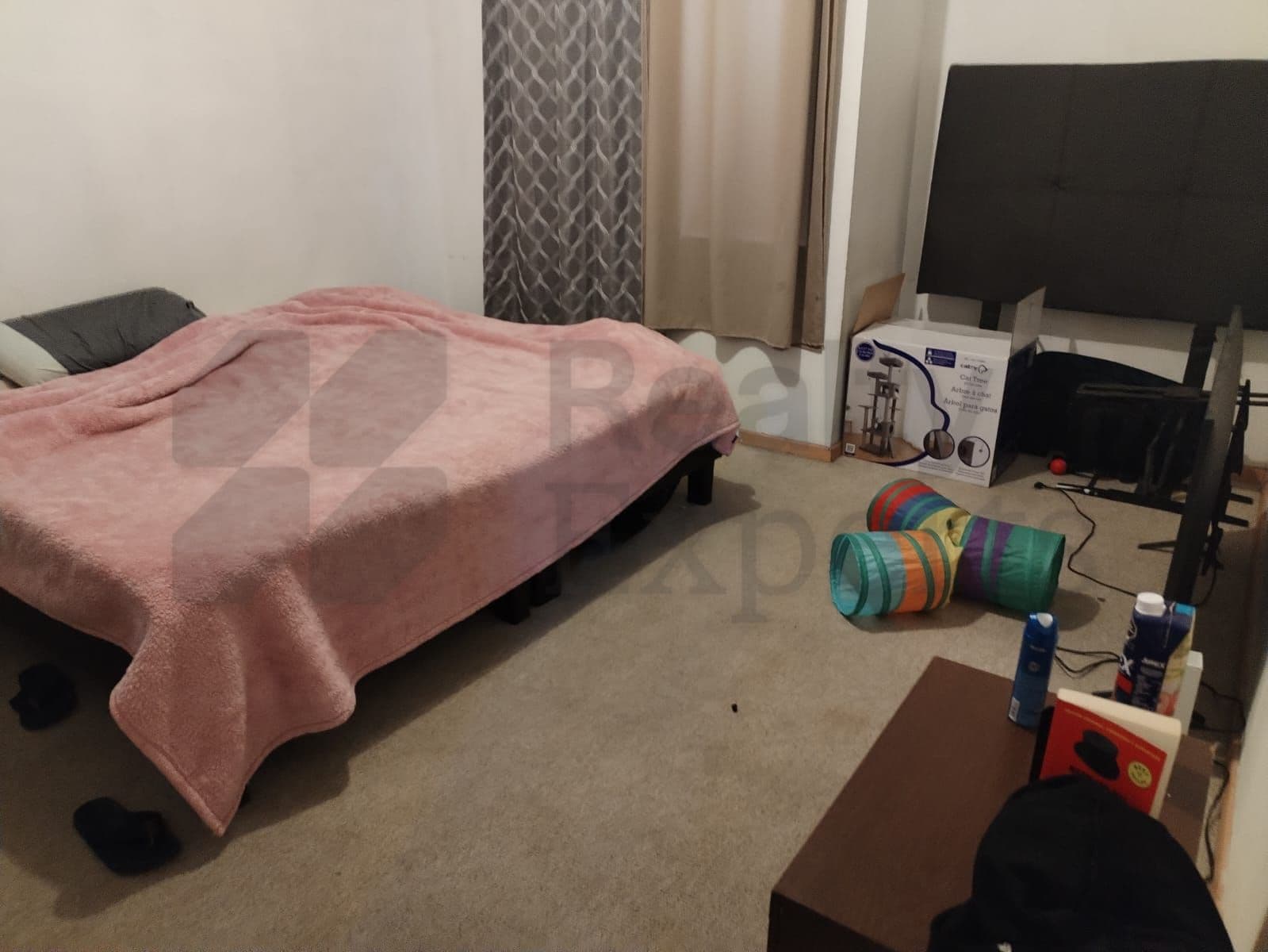 Fotos adicionales