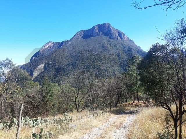 Fotos adicionales