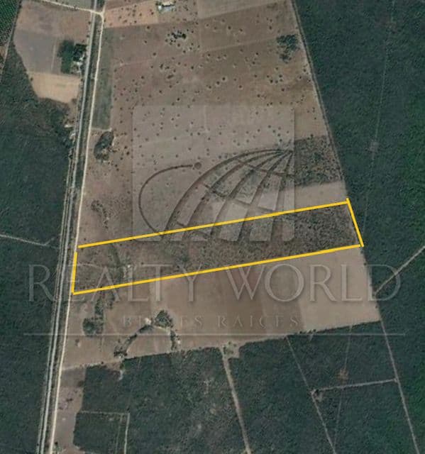 Terrenos en Venta en Benítez