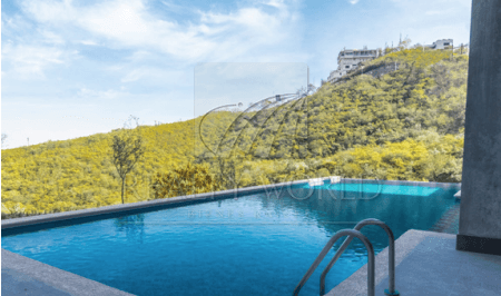 Departamentos en Venta en Residencial Dinastía