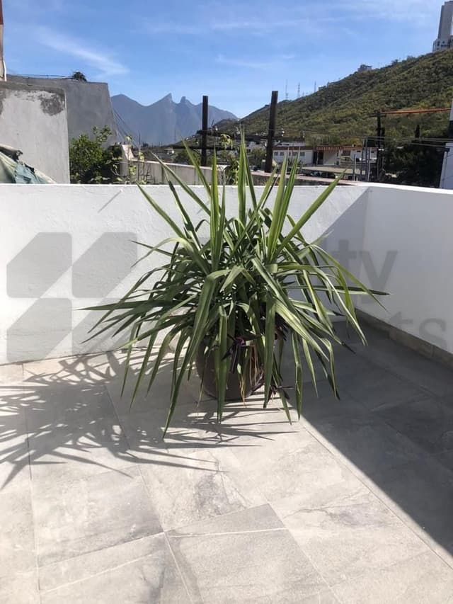 Departamentos en Renta en Lomas de San Francisco