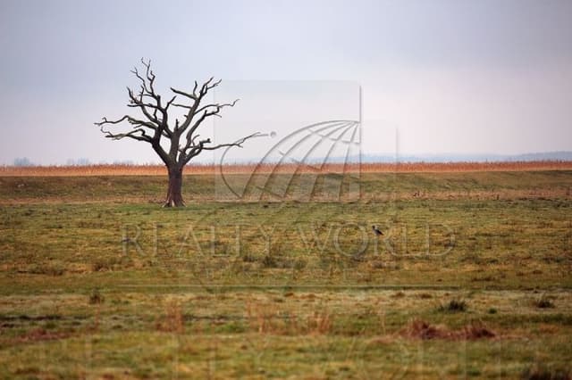 Terrenos en Venta en La Ciudadela