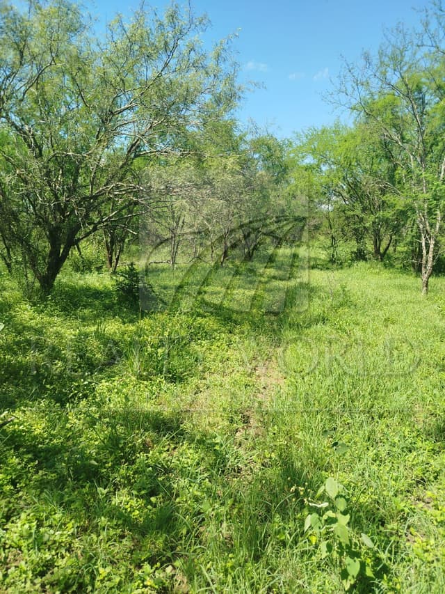 Terrenos en Venta en Sin Colonia