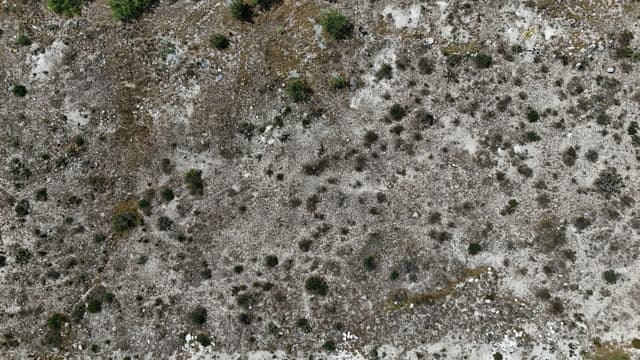 Terrenos en Venta en Fraccionamiento San Gabriel Residencial Campestre