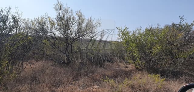 Terrenos en Venta en Zacatecas