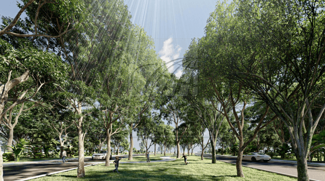 Terrenos en Venta en Tamanché