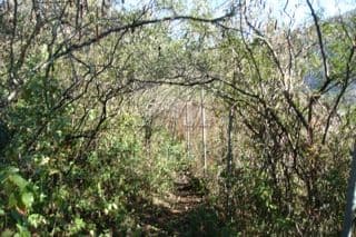 Terrenos en Venta en La Nogalera