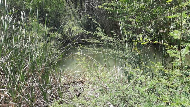 Terrenos en Venta en Cadereyta Jiménez Centro