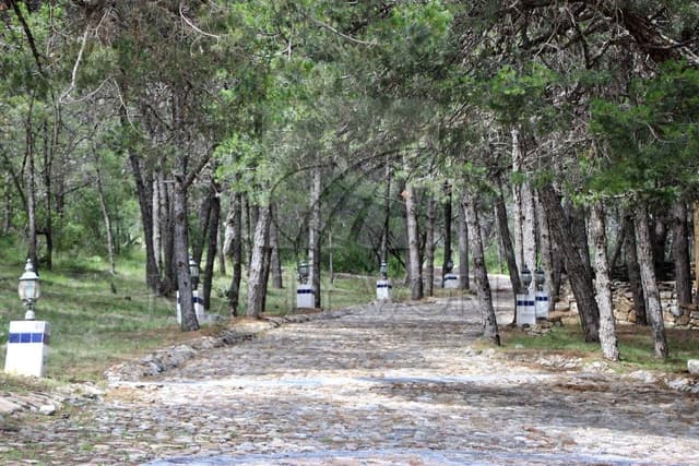 Terrenos en Venta en Autopista