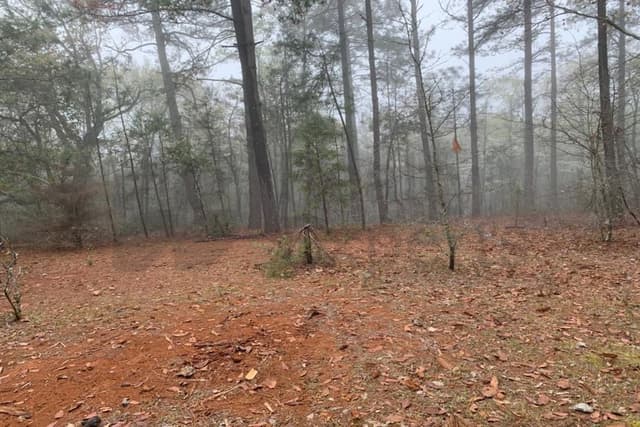 Terrenos en Venta en Potrero Redondo