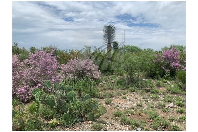Terrenos en Venta en Salinas Victoria