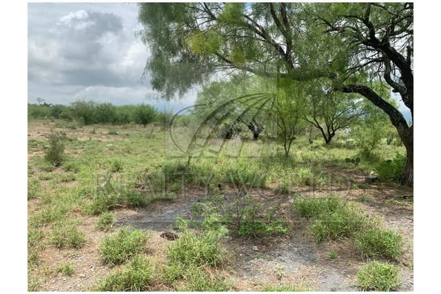 Terrenos en Venta en Salinas Victoria