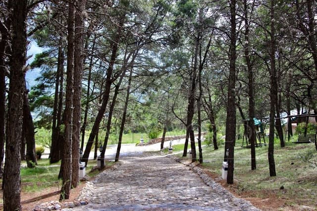 Terrenos en Venta en Autopista