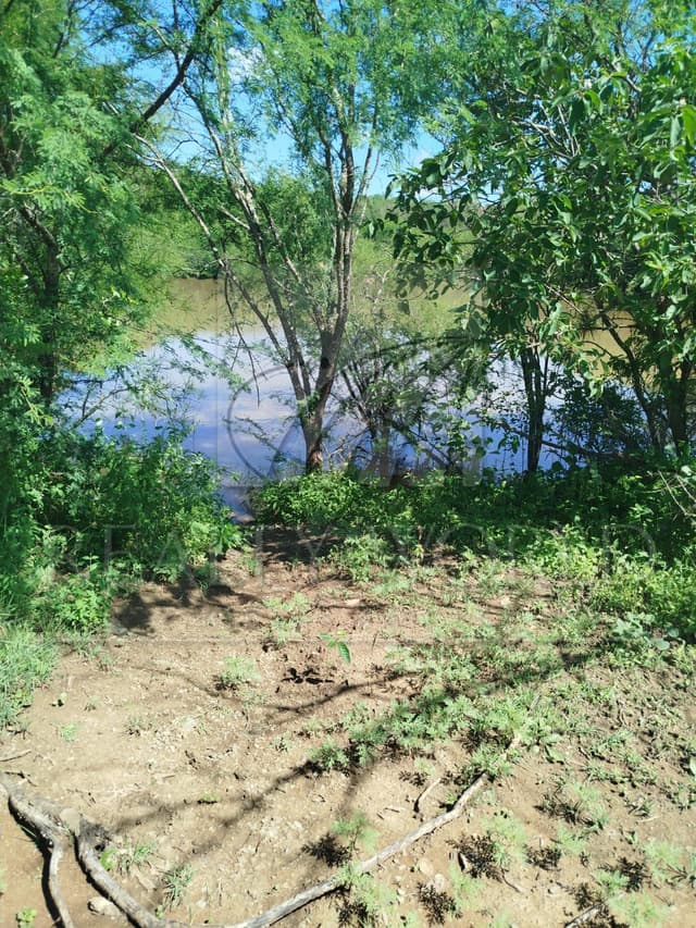 Terrenos en Venta en Sin Colonia