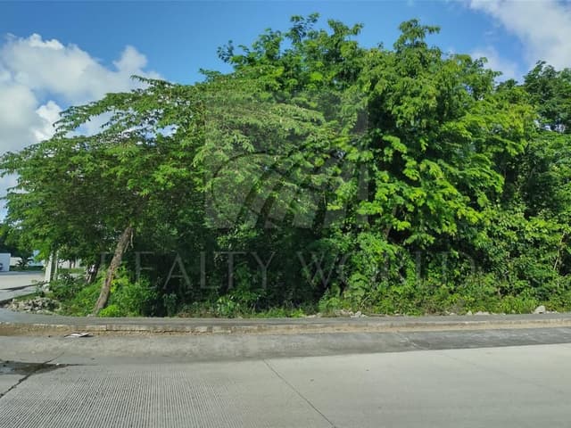 Terrenos en Venta en Playa del Carmen