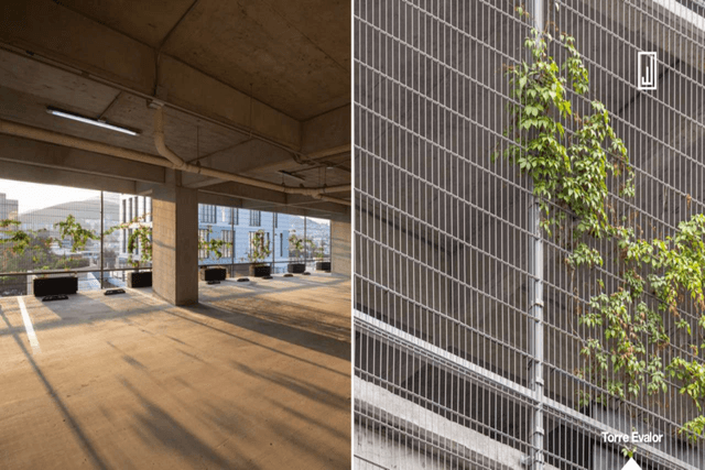 Oficinas en Renta en Colinas de San Jerónimo