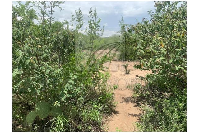 Terrenos en Venta en Salinas Victoria