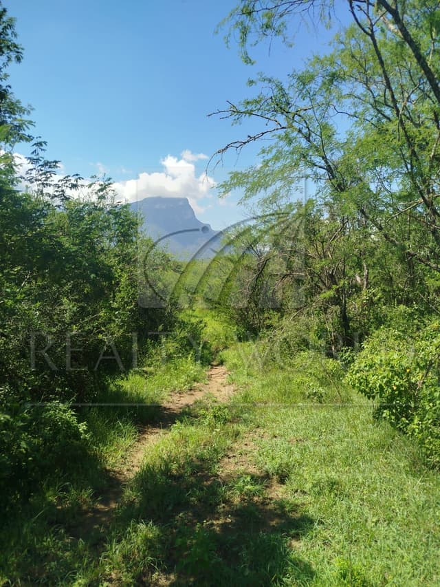 Terrenos en Venta en Sin Colonia