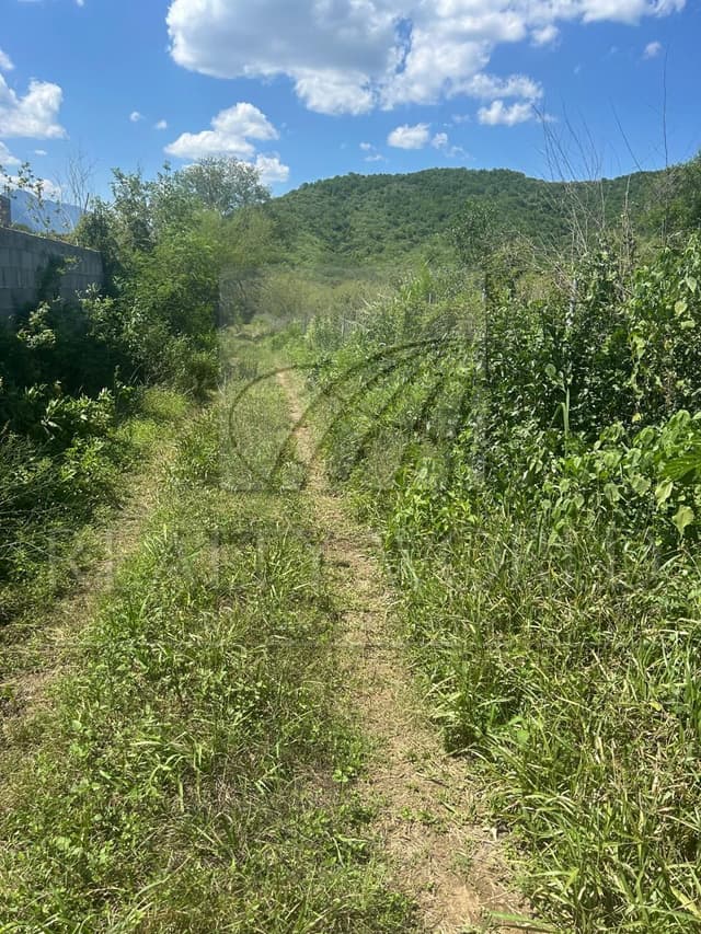 Terrenos en Venta en Valle Hidalgo (La Cotorra)
