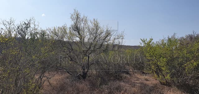 Terrenos en Venta en Zacatecas