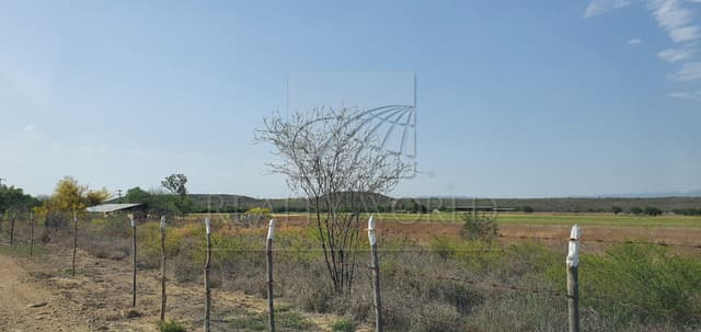 Terrenos en Venta en Zacatecas