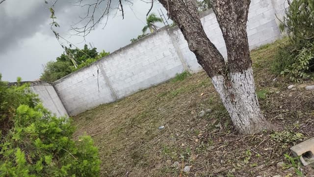 Terrenos en Venta en Cadereyta Jiménez Centro
