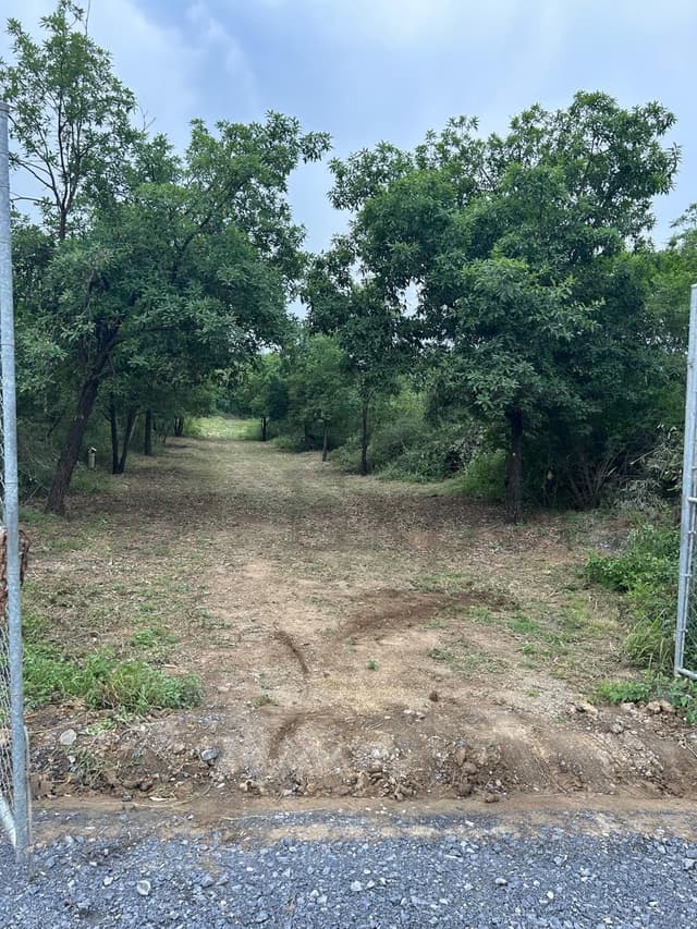 Terrenos en Venta en Los Laureles