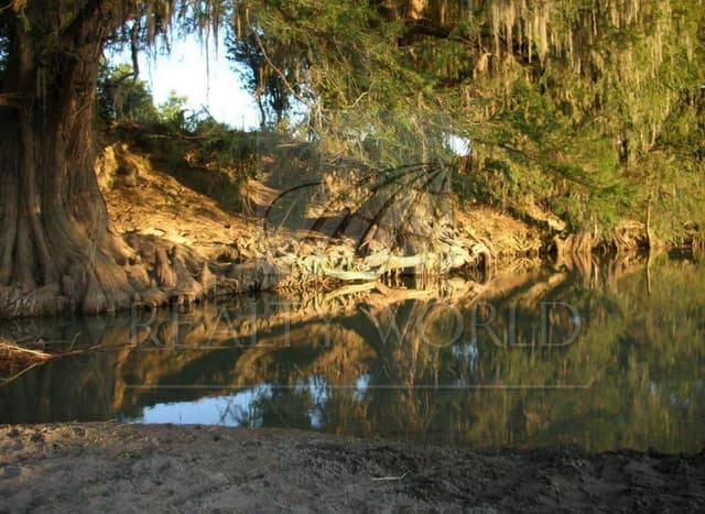 Terrenos en Venta en Cadereyta Jiménez Centro