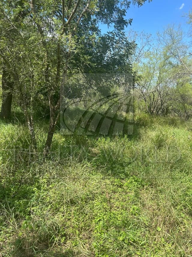 Terrenos en Venta en Valle Hidalgo (La Cotorra)