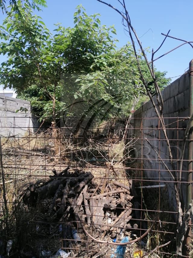 Terrenos en Venta en Monte Kristal