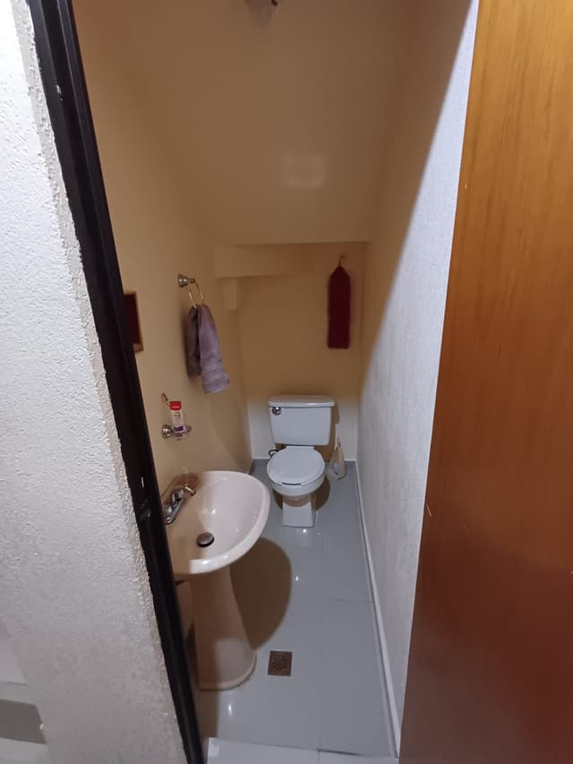 Casas en Renta en Potrero Anáhuac