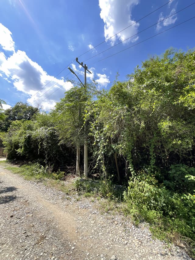 Terrenos en Venta en Santiago