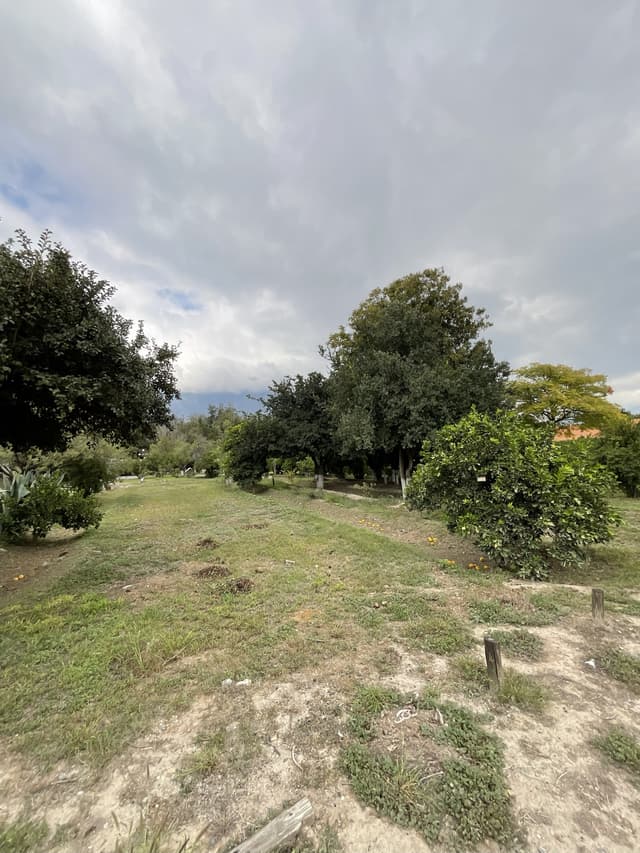 Terrenos en Venta en Cabecera Municipal