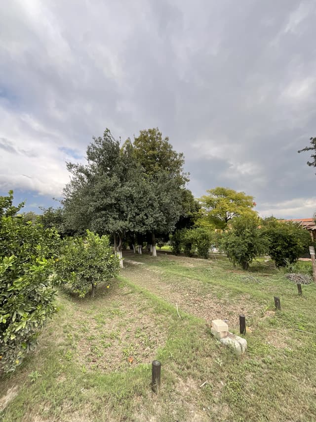 Terrenos en Venta en Cabecera Municipal