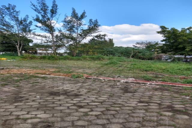 Terrenos en Venta en Miguel Alemán Valdez