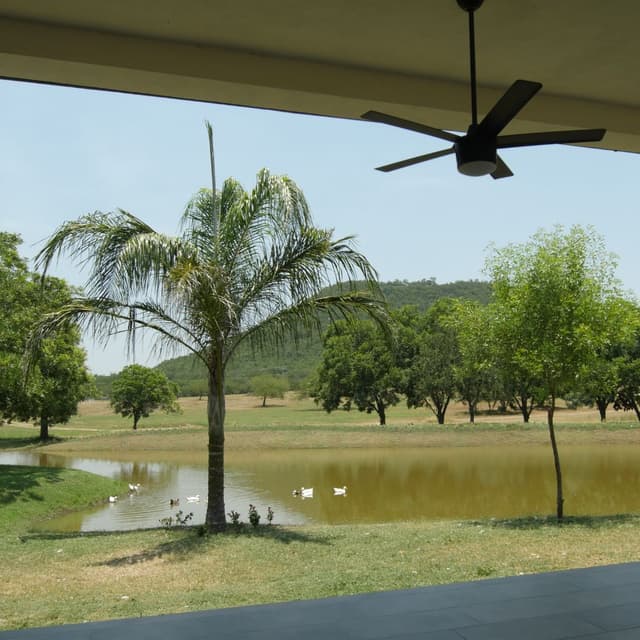 Terrenos en Venta en Sin Colonia