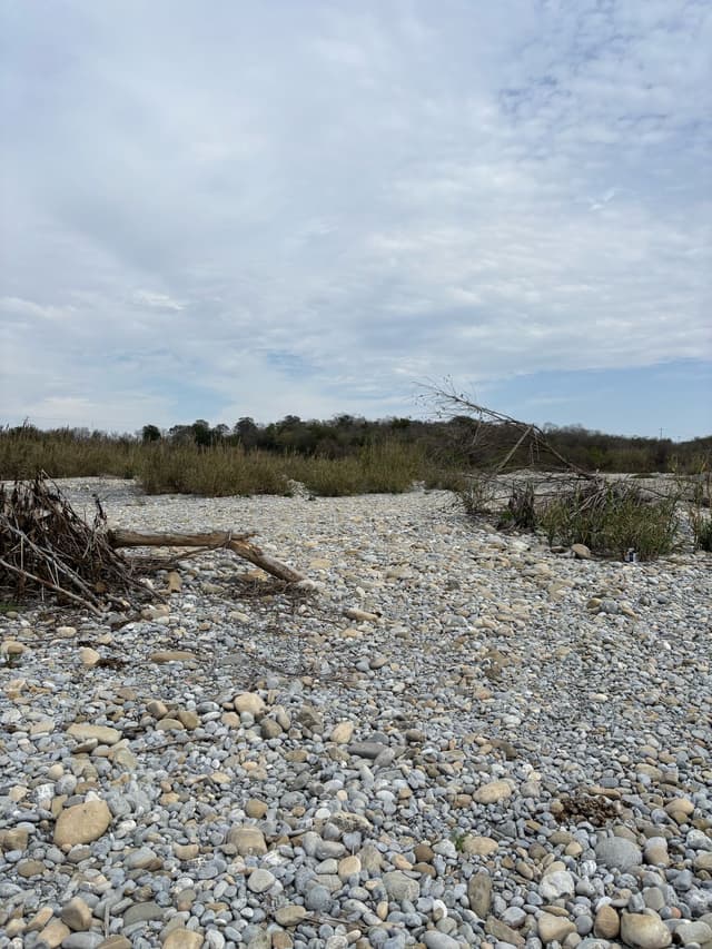 Terrenos en Venta en Palo Alto