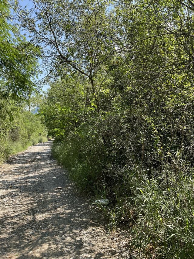 Terrenos en Venta en San Francisco