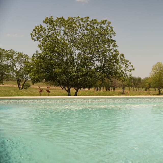 Terrenos en Venta en Sin Colonia