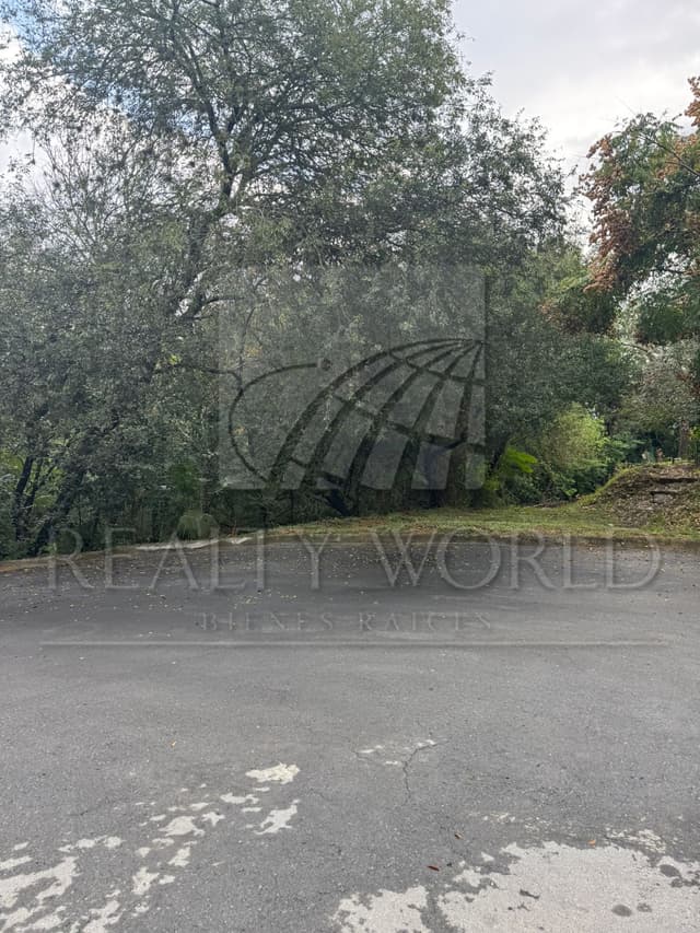 Terrenos en Venta en La Noria