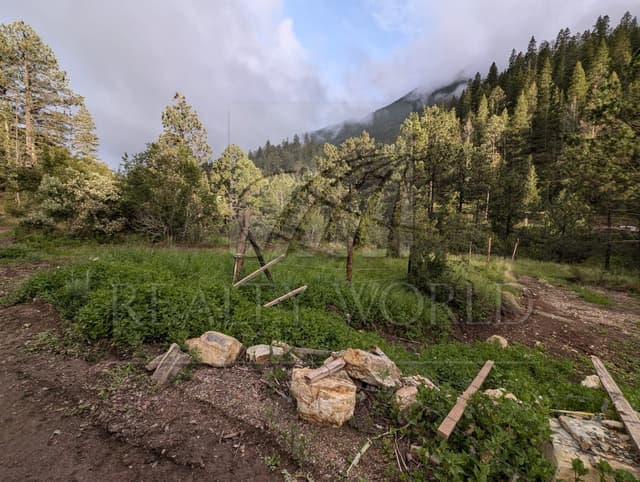 Terrenos en Venta en San Antonio de las Alazanas