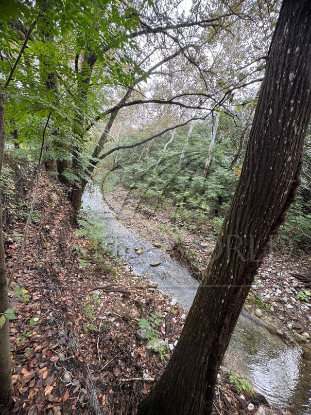 Terrenos en Venta en La Noria